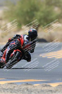 media/May-14-2023-SoCal Trackdays (Sun) [[024eb53b40]]/Turn 5 Tree of Life (1125am)/